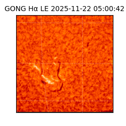 gong - 2025-11-22T05:00:42