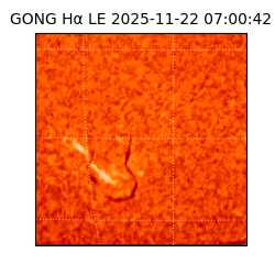 gong - 2025-11-22T07:00:42