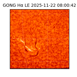 gong - 2025-11-22T08:00:42