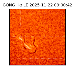 gong - 2025-11-22T09:00:42