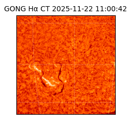 gong - 2025-11-22T11:00:42