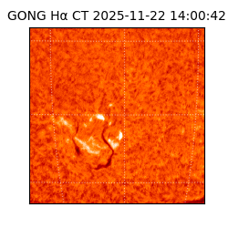 gong - 2025-11-22T14:00:42