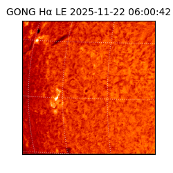 gong - 2025-11-22T06:00:42