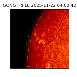 gong - 2025-11-22T04:00:42