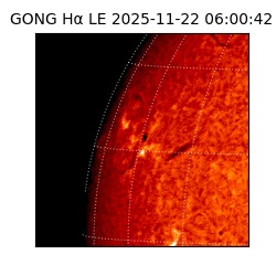 gong - 2025-11-22T06:00:42
