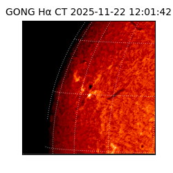 gong - 2025-11-22T12:01:42