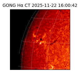 gong - 2025-11-22T16:00:42