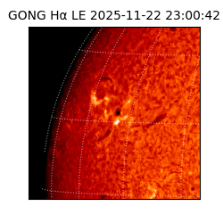 gong - 2025-11-22T23:00:42