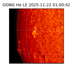 gong - 2025-11-22T01:00:42