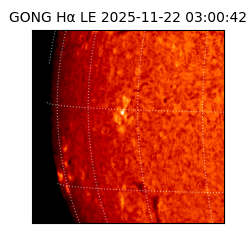 gong - 2025-11-22T03:00:42