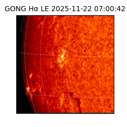 gong - 2025-11-22T07:00:42