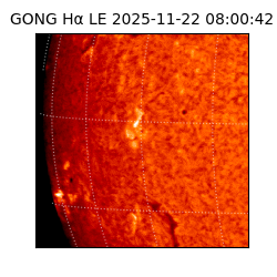 gong - 2025-11-22T08:00:42