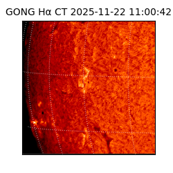 gong - 2025-11-22T11:00:42