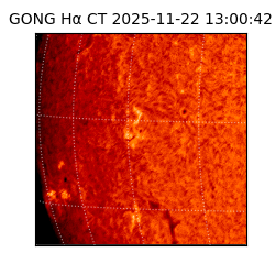gong - 2025-11-22T13:00:42