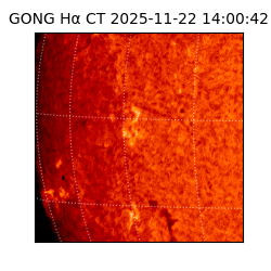gong - 2025-11-22T14:00:42