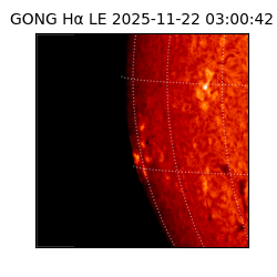 gong - 2025-11-22T03:00:42