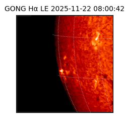 gong - 2025-11-22T08:00:42