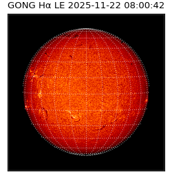 gong - 2025-11-22T08:00:42