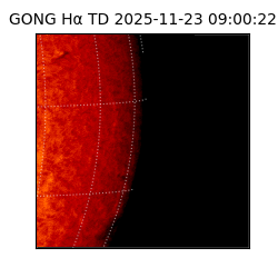 gong - 2025-11-23T09:00:22