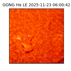 gong - 2025-11-23T06:00:42
