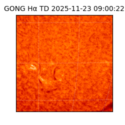 gong - 2025-11-23T09:00:22