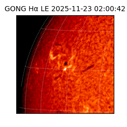 gong - 2025-11-23T02:00:42