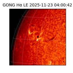 gong - 2025-11-23T04:00:42