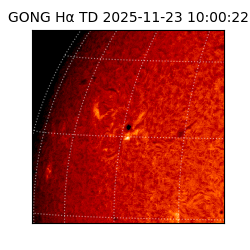 gong - 2025-11-23T10:00:22