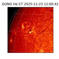 gong - 2025-11-23T12:00:42