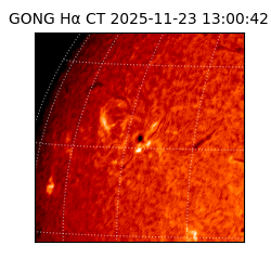 gong - 2025-11-23T13:00:42