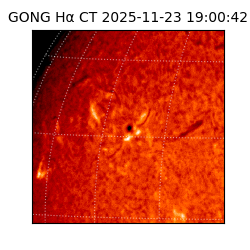gong - 2025-11-23T19:00:42