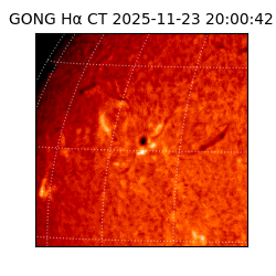 gong - 2025-11-23T20:00:42