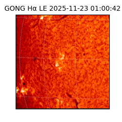 gong - 2025-11-23T01:00:42