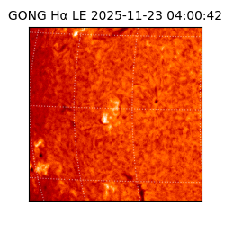 gong - 2025-11-23T04:00:42