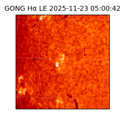 gong - 2025-11-23T05:00:42