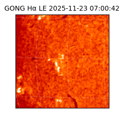 gong - 2025-11-23T07:00:42