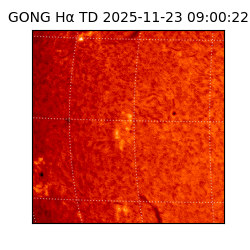 gong - 2025-11-23T09:00:22