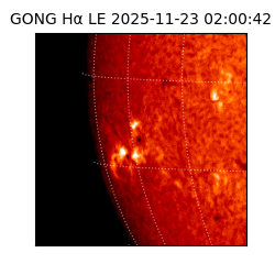 gong - 2025-11-23T02:00:42