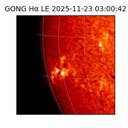 gong - 2025-11-23T03:00:42