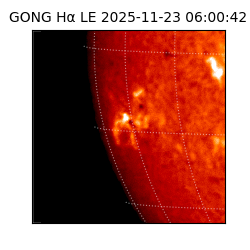 gong - 2025-11-23T06:00:42