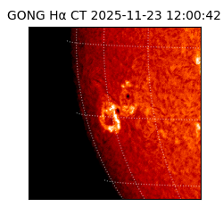 gong - 2025-11-23T12:00:42