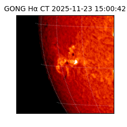 gong - 2025-11-23T15:00:42