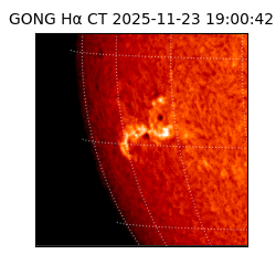 gong - 2025-11-23T19:00:42