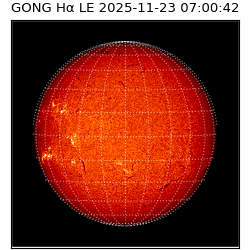 gong - 2025-11-23T07:00:42