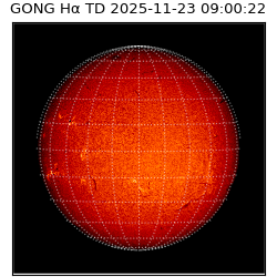 gong - 2025-11-23T09:00:22