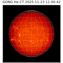 gong - 2025-11-23T11:00:42