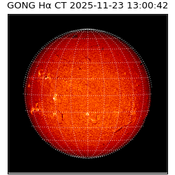 gong - 2025-11-23T13:00:42