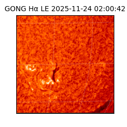 gong - 2025-11-24T02:00:42