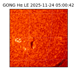 gong - 2025-11-24T05:00:42