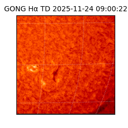 gong - 2025-11-24T09:00:22